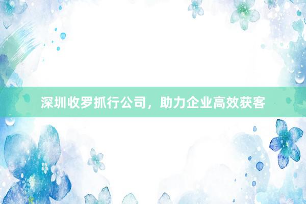 深圳收罗抓行公司，助力企业高效获客